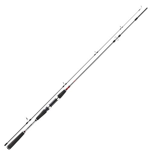 Daiwa Meeresruten