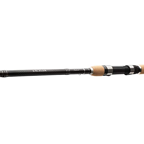 Daiwa Meerforellenrute