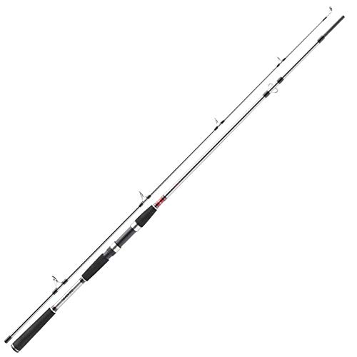 Daiwa Meerforellenrute