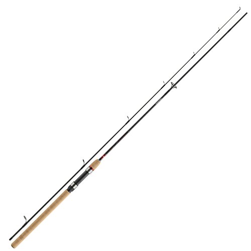 Daiwa Hechtrute