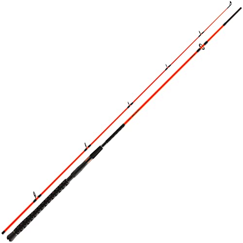 Daiwa Meeresruten