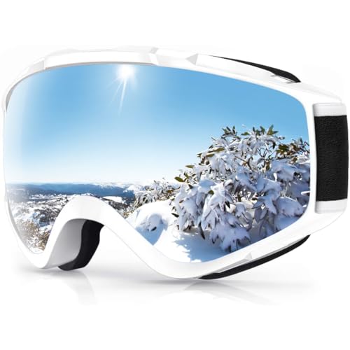 Findway Snowboardbrille