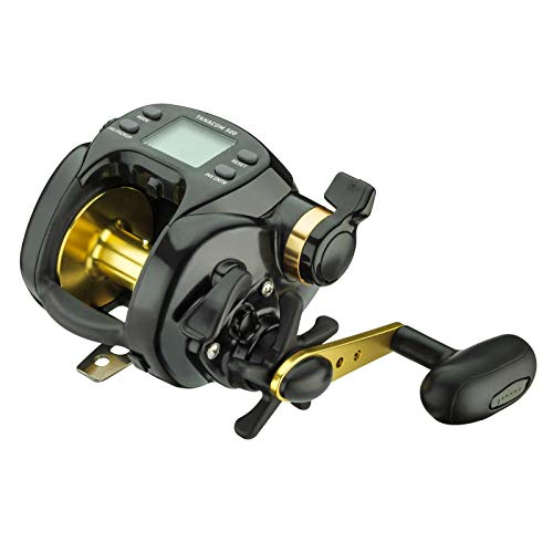 Daiwa Elektrische Angelrolle