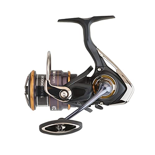 Daiwa Meeresrolle