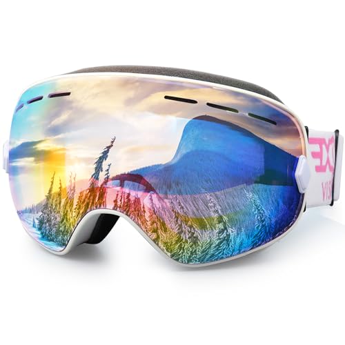 Exp Vision Skibrille