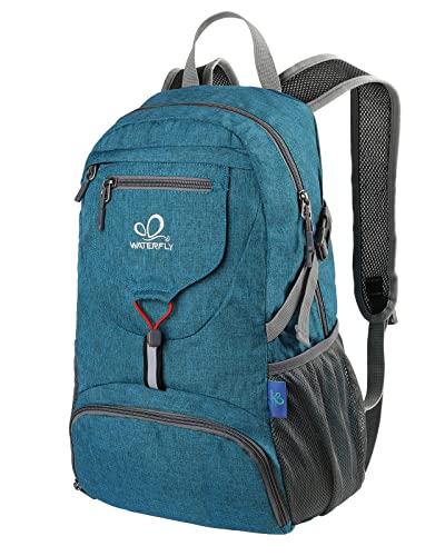 Waterfly Daypack