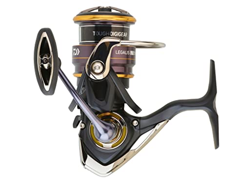 Daiwa Meeresrolle