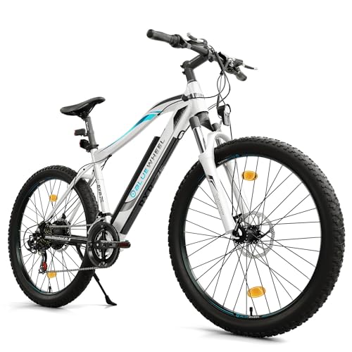 Bluewheel Electromobility E Mountainbike Fully